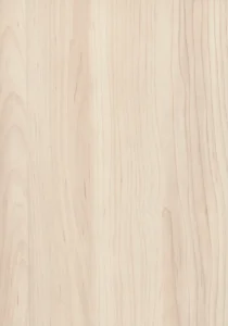 Dekor H3860 - Javor Hard šampaňský